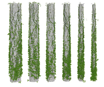 Modern Vine Creeper Vine 3d model