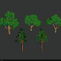 Set Of Various Green Leaf Trees With Different Sizes Brown Trunks And Shadows 3d model