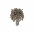 Elegant Decorative Ornament Set With Pampas Grass And Column For Home Decor