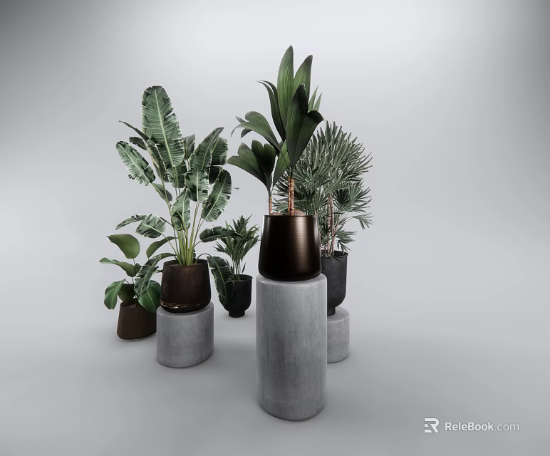 Multiple Bonsai Potted Plants On Concrete Pedestals With Various Leaf Shapes 3d model 