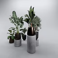 Multiple Bonsai Potted Plants On Concrete Pedestals With Various Leaf Shapes