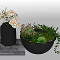 Bonsai Succulent Potted Plant in Black Bowl with Mixed Varieties and Decorative Book