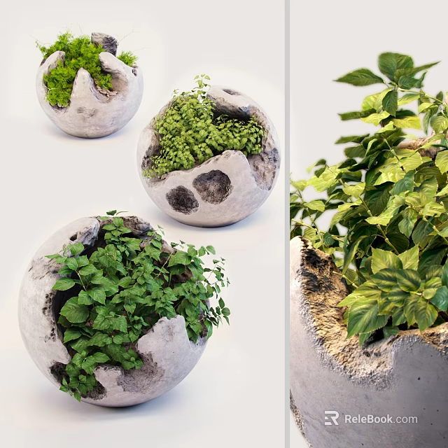Decorative Bonsai Potted Plants in Stone Textured Spherical Planters with Lush Green Foliage 3d model 