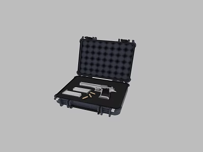 modern weapon box pistol weapon box 3d model