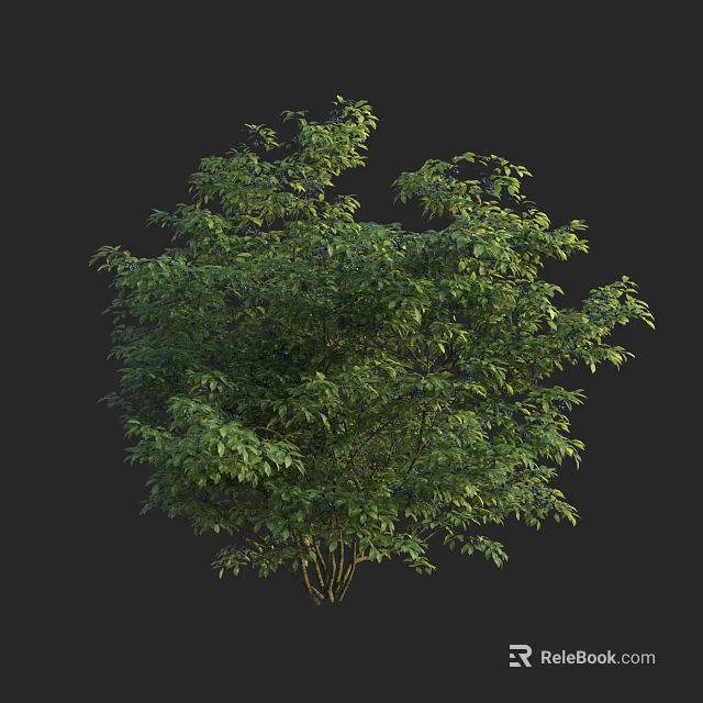 Lush Green Arbor Featuring Dense Foliage And Vibrant Leaves On Black Background 3d model