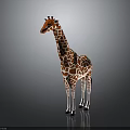 Orange And White Spotted Giraffe Standing On Gray Background With Reflective Surface