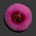 Fresh Red Onion With Vibrant Purple Color Whole Bulb Isolated On Dark Background
