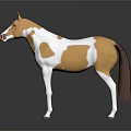 3D Model Horse With Brown And White Coat And Pink Nose Standing On Black Background