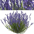 Lavender Decorative Ornament Set With Purple Flowers And Green Stems