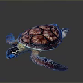 small turtle green turtle big turtle black turtle pacific turtle flat-backed turtle 3d model