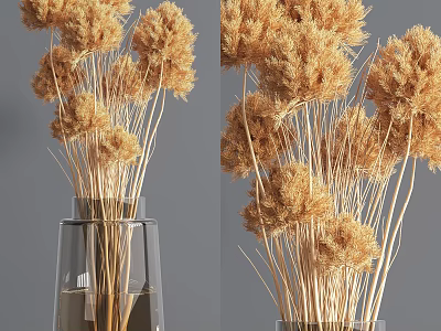 Transparent Glass Vase With Light Brown Fluffy Dried Flowers For Modern Home Decor 3d model