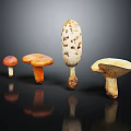 Modern mushroom straw mushroom poisonous mushroom plant 3d model
