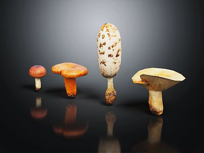 Modern mushroom straw mushroom poisonous mushroom plant 3d model