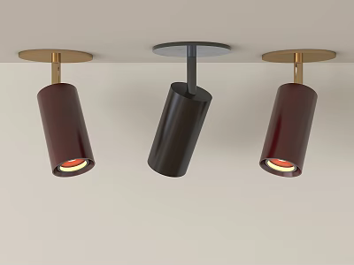 Modern Downlights Spotlights With Cylindrical Metal Shades And Warm Light On Ceiling 3d model