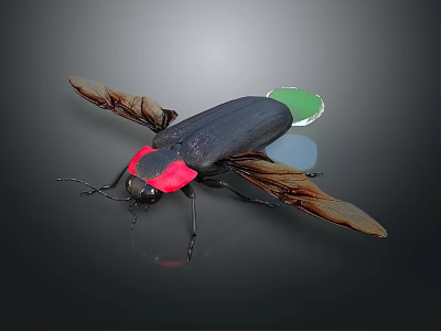 Detailed View of Black Beetle with Red Head Brown Wings and Green Tail 3d model