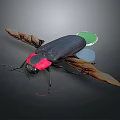 Detailed View of Black Beetle with Red Head Brown Wings and Green Tail