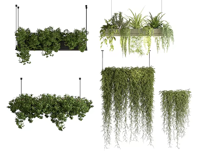 Decorative Lush Trailing Green Hanging Basket Plants for Indoor Home Decor 3d model