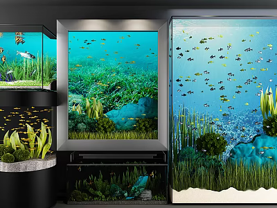 Modern Aquarium Display With Colorful Fish Green Plants And Decorative Stones 3d model