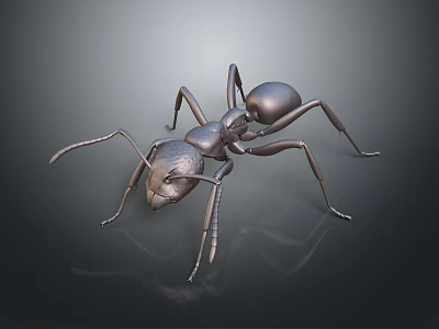 Metallic Ant With Shiny Exoskeleton On Black Background With Reflection 3d model