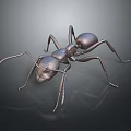 Metallic Ant With Shiny Exoskeleton On Black Background With Reflection 3d model