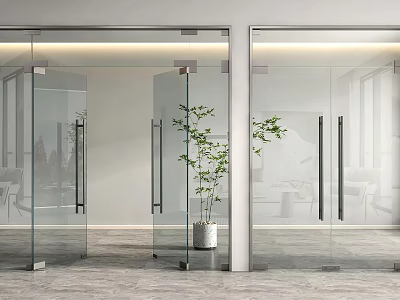 Modern Glass Double Doors In Bright Interior With Potted Plant And Metal Handles 3d model