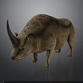 Realistic Brown Rhinoceros 3D Model With Textured Skin And Single Horn On Gray Background
