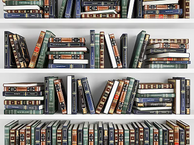 Colorful Varied Size Books Neatly Arranged On Multi Shelf Bookshelf In Room 3d model