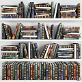 Colorful Varied Size Books Neatly Arranged On Multi Shelf Bookshelf In Room