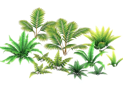 Lush Green Shrub Varieties with Fern and Palm-like Leaves for Garden Decoration 3d model