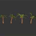 Four Palm Trees With Green Leaves And Brown Trunks On Gray Background With Reflective Surface
