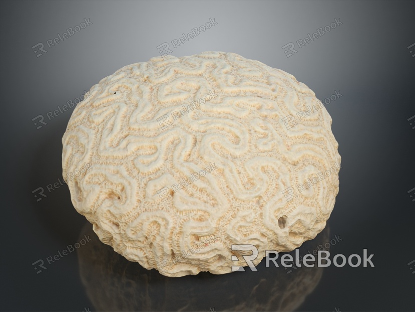 Coral Red Coral White Coral Blue Coral Gold Coral Black Coral Ball Coral Grass Coral Fine Finger Anemone model