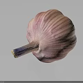 Fresh Single Pink Striped Garlic Bulb With Purple Root On Dark Surface 3d model