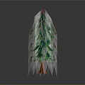 Evergreen Tree With Lush Green Foliage And Brown Trunk In Upright Shape