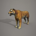 Realistic 3D Model of Reptile Featuring Detailed Scales and Lifelike Standing Posture