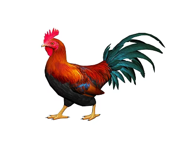 Flying Animal Rooster with Red Comb Red and Black Feathers Green Tail in Standing Posture 3d model