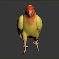 Yellow Parrot With Red Head And White Wings Standing On Smooth Surface Dark Background 3d model