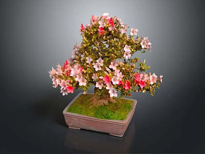 Bonsai Tree With Pink And Red Flowers In Square Brown Pot And Green Moss 3d model