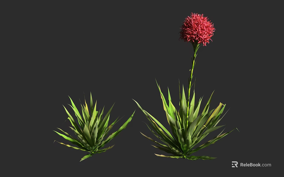 Green Leafy Plants With Tall Stem And Vibrant Red Flower 3d model 