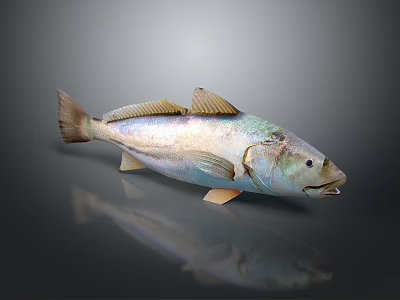 Fresh Whole Fish With Shiny Skin For Daily Kitchen Meal Preparation 3d model
