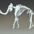 Modern Skeleton 3d model