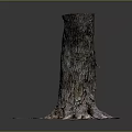 Natural Wood Stump With Intricate Root Structure And Stone Accents