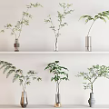 Elegant Glass Ceramic Vases With Leafy Green Plants On White Wall Shelf