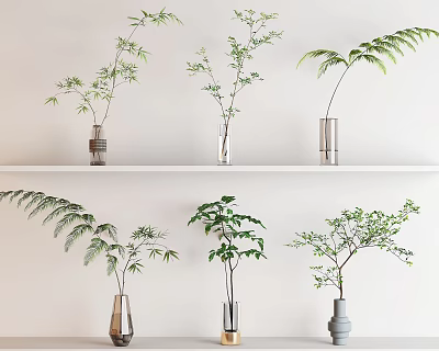 Elegant Glass Ceramic Vases With Leafy Green Plants On White Wall Shelf 3d model