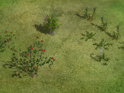 Green Grassland With Various Flowers Red Flowering Shrubs Purple Blossom Plants And Slender Leaf Herbs 3d model