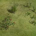 Green Grassland With Various Flowers Red Flowering Shrubs Purple Blossom Plants And Slender Leaf Herbs
