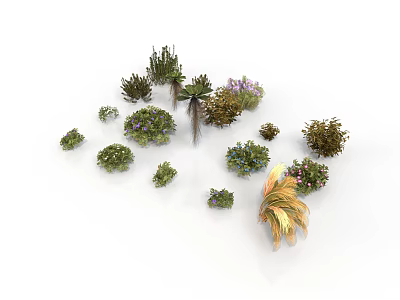 Various Green And Colorful Garden Plants With Diverse Leaf Shapes And Flowers 3d model