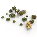 Various Green And Colorful Garden Plants With Diverse Leaf Shapes And Flowers