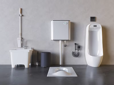 Modern Bathroom Interior With Urinal Toilet Tank Squat Toilet Trash Can And Accessories 3d model