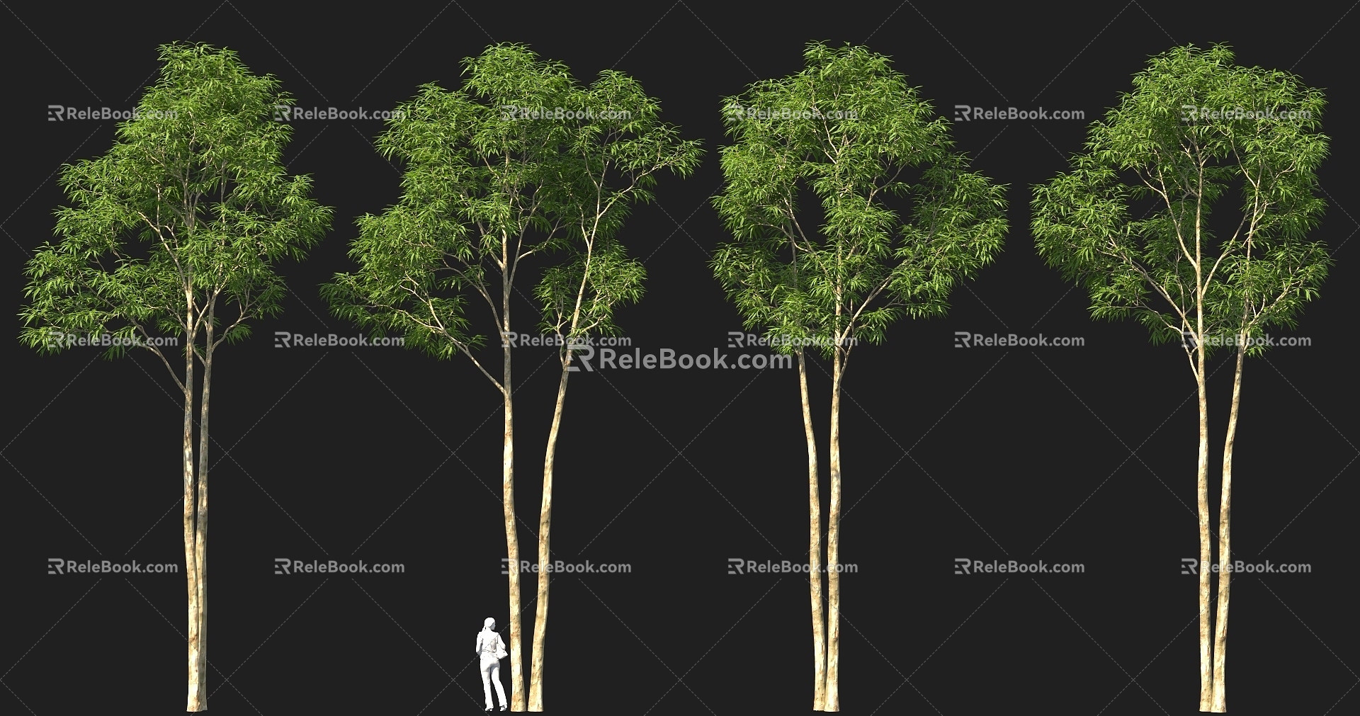 Tall Pole Landscape Trees Tree Pool Street Trees Park Bird's Eye View Trees Garden Trees 3d model