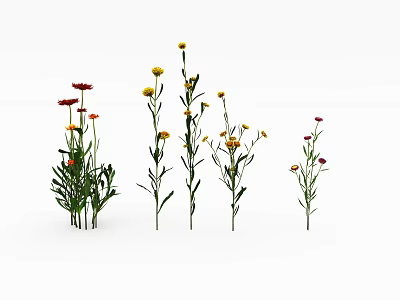 Fresh Assorted Flowers in Vase Featuring Red and Yellow Blooms for Home Decoration 3d model